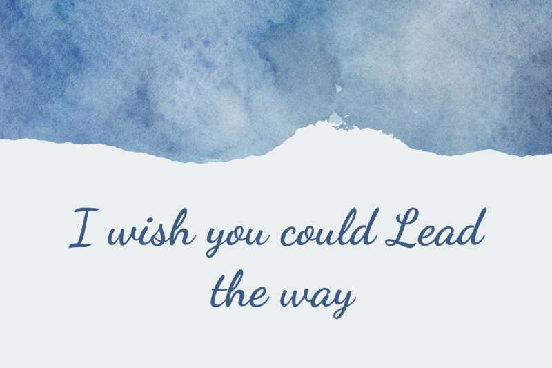 I wish you could Lead the way